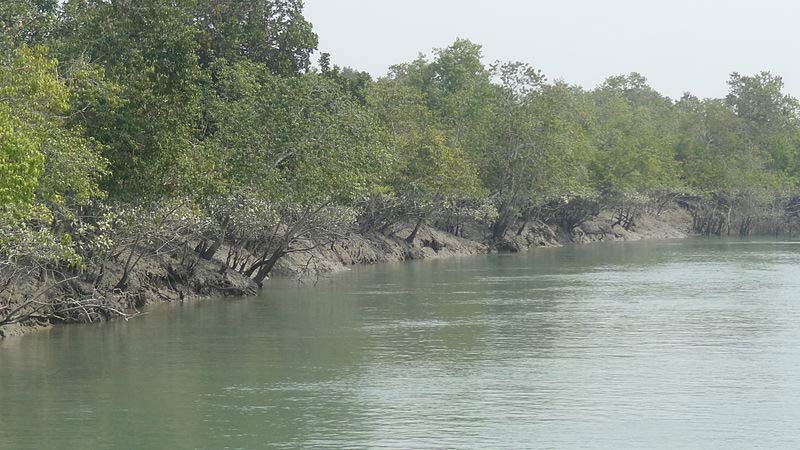 Parque Nacional Sundarban