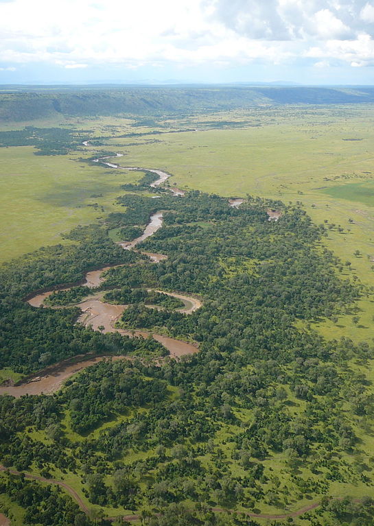 محمية ماساي مارا الوطنية