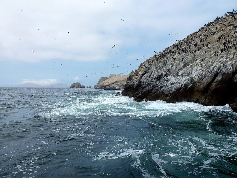 Ballestas-Inseln