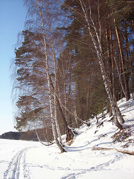 Smolenskoye Poozerye National Park