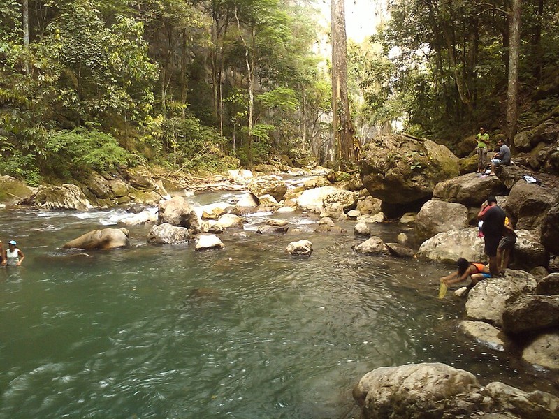 Cueva del Guácharo National Park - photo 11