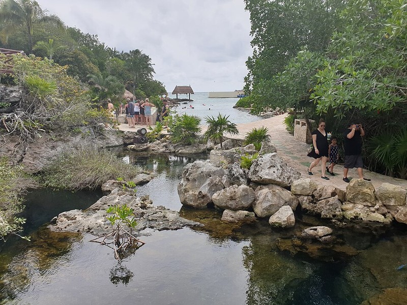 Shel-Ha - photo 6