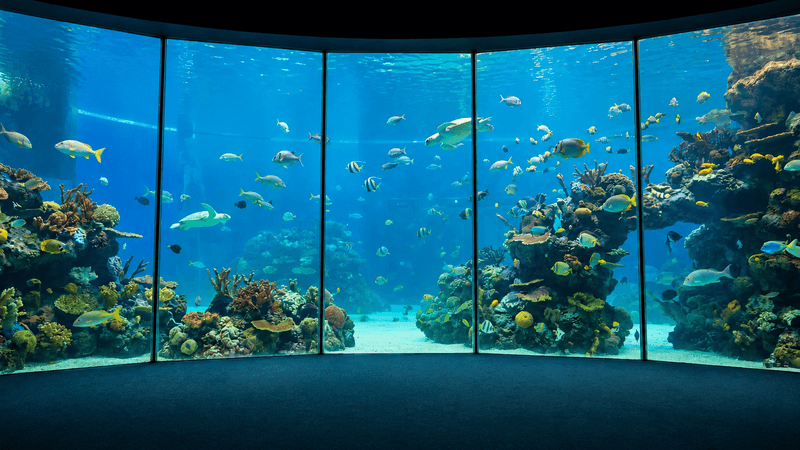 坎昆互动水族馆