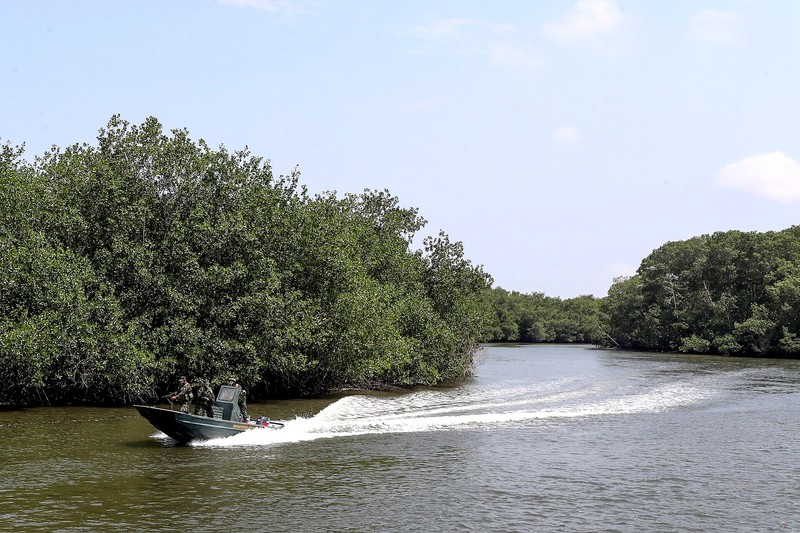 Mangroves de Tumbes