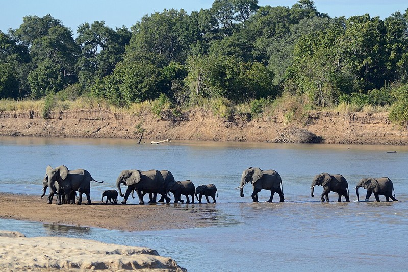 Südluangwa-Nationalpark