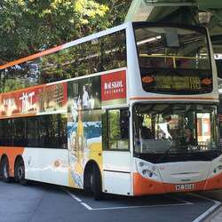 香港迪士尼乐园