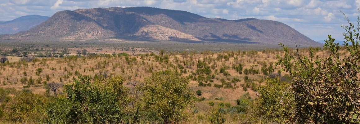 Parc national de Ruaha