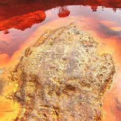 リオ・ティント