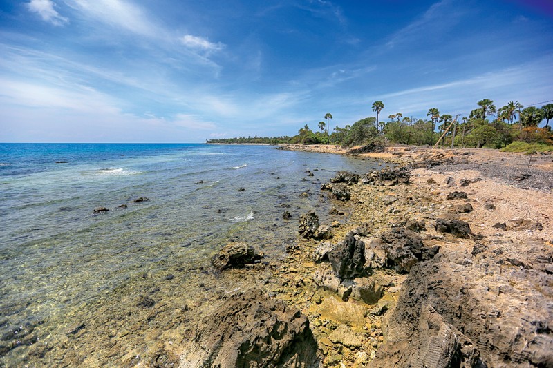 Ilha de Delft