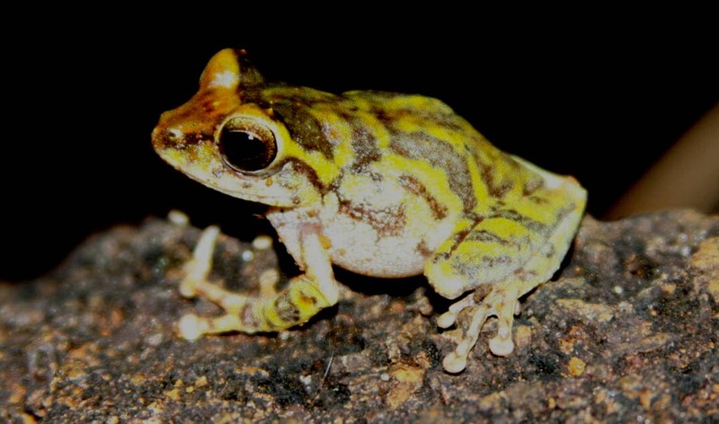 哈米吉坦山脉野生生物保护区