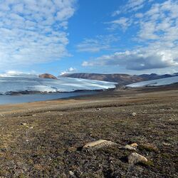 クッティニルパーク