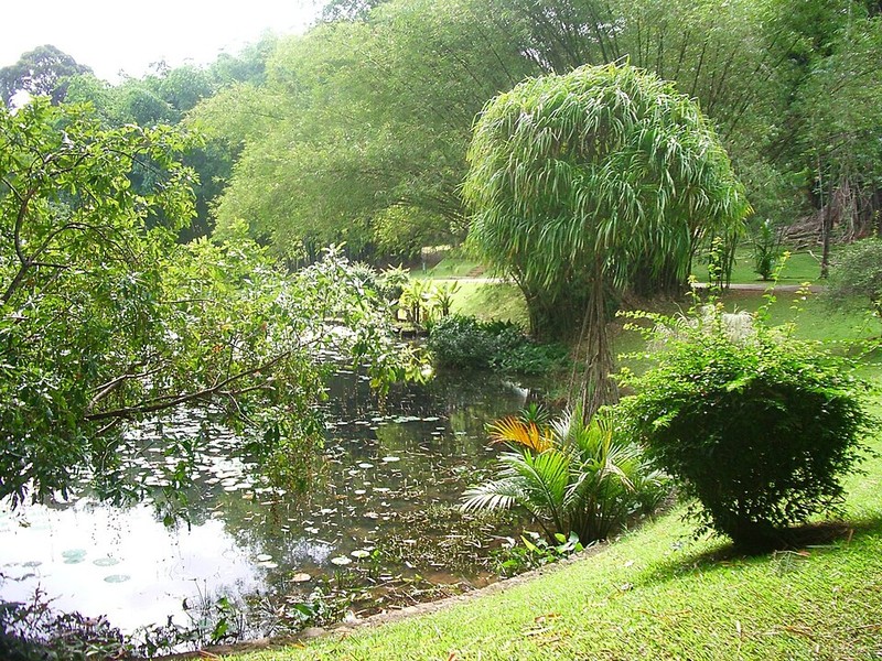Jardim Botânico Real de Peradeniya