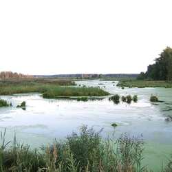 Национальный парк Лосиный Остров