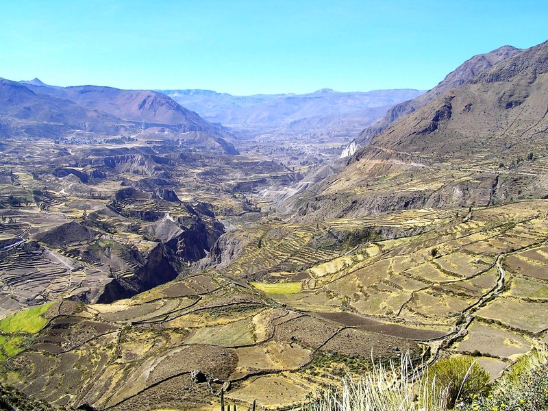 Canyon de Colca