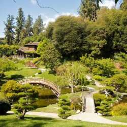 ハンティントン植物園