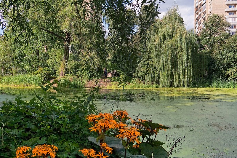 Aptekar garden