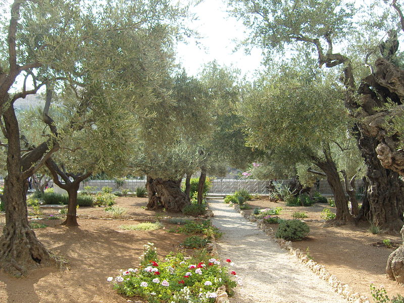 Jardin Gethsémani