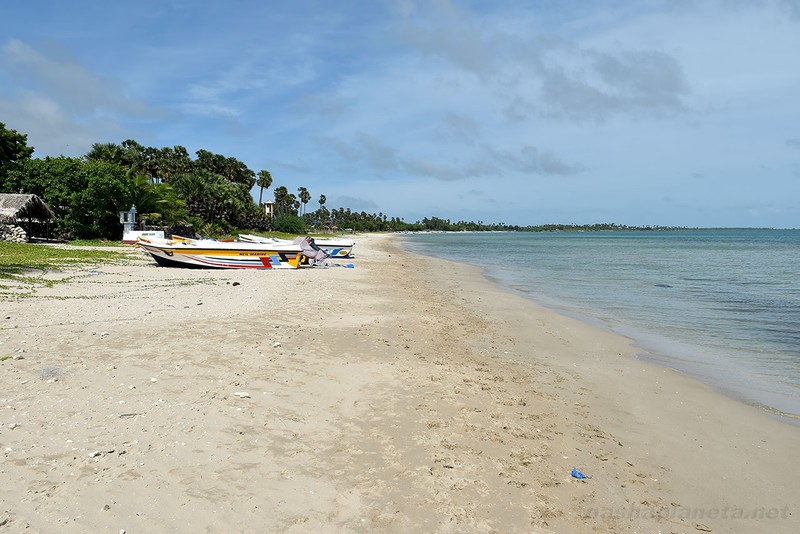 Ilha de Delft