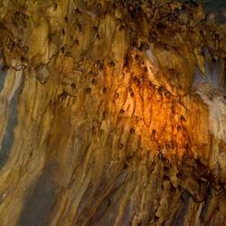 プエルトプリンセサ