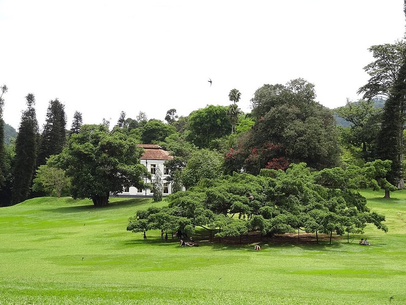 Jardim Botânico Real de Peradeniya