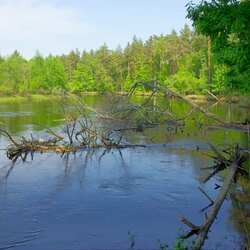 Мещерский национальный парк