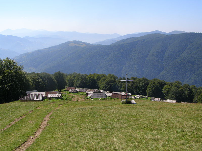 Parc national des Carpates