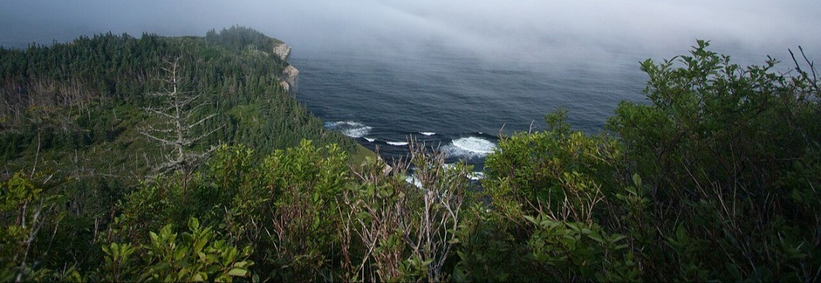 Parc national de Forillon
