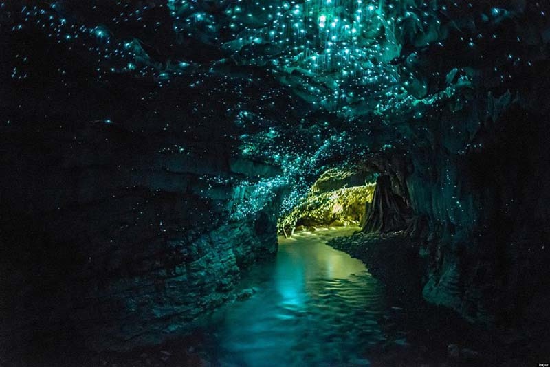 Cavernas Waitomo