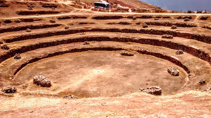 موراي