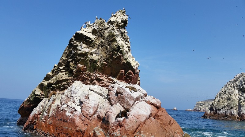 Ballestas-Inseln