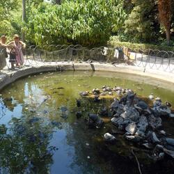 アテネの国立庭園