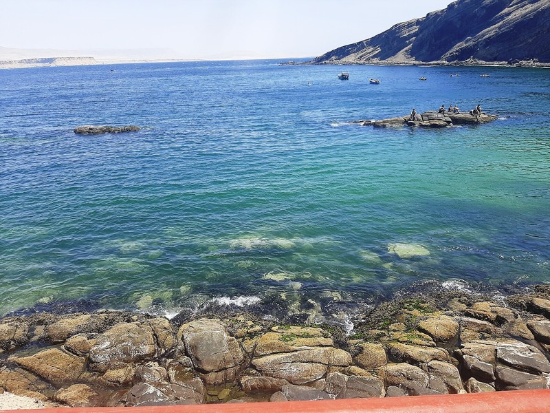 Réserve nationale de Paracas