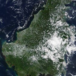 جزيرة بورنيو