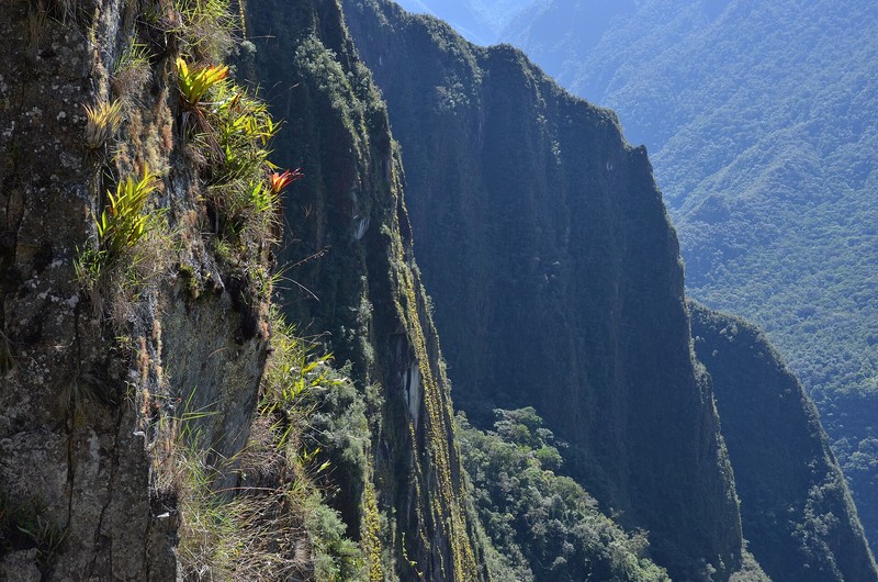 Huayna Picchu