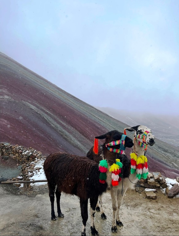 Montaña de Siete Colores de Vinicunca