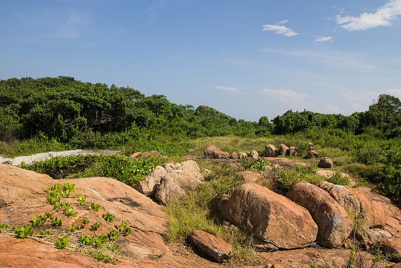 Parque Nacional da Ilha Pigeon