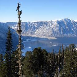 アルタイ保護区