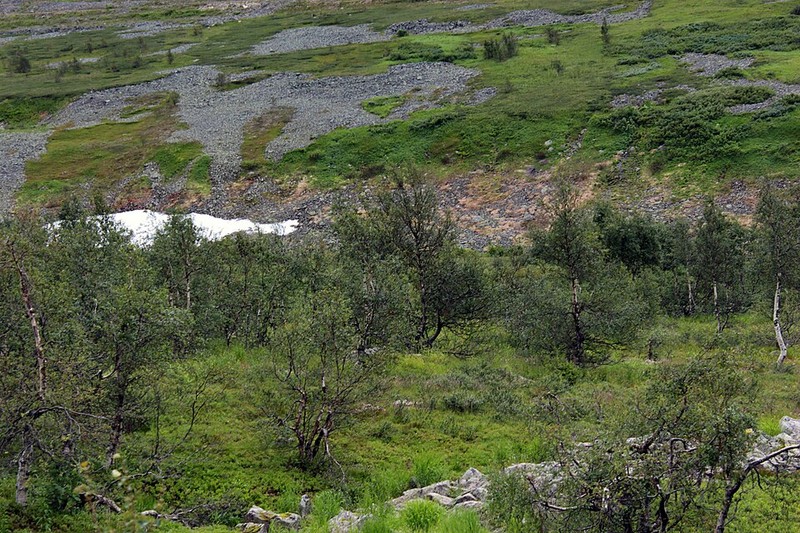 Parque Nacional Yugyd Va