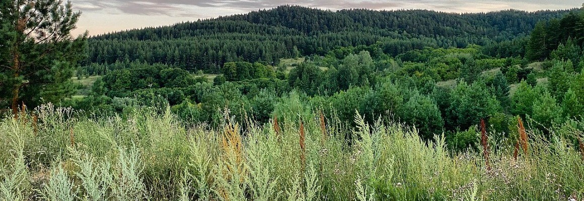 Parc national de Khvalynsk