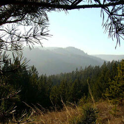 Parc national de Khvalynsk