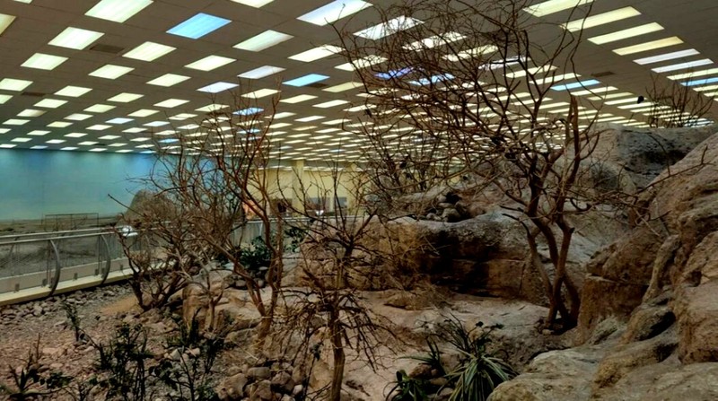 Sharjah Zoo - photo 2