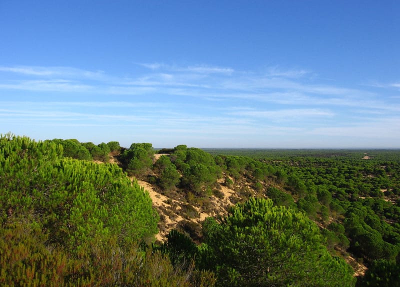 Parque Nacional Doñana
