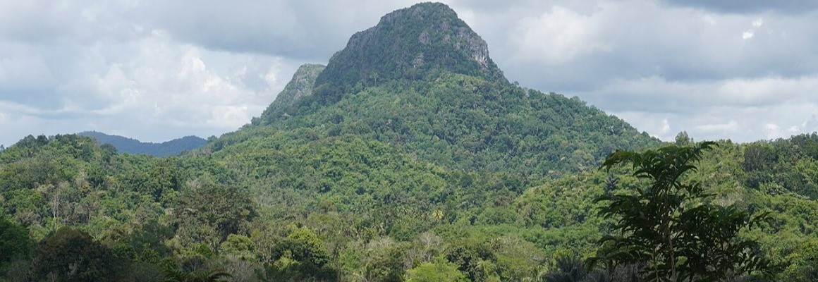 Insel Borneo