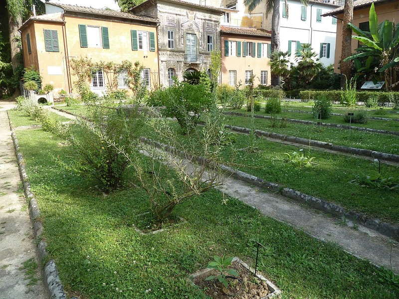 Jardín Botánico de Pisa