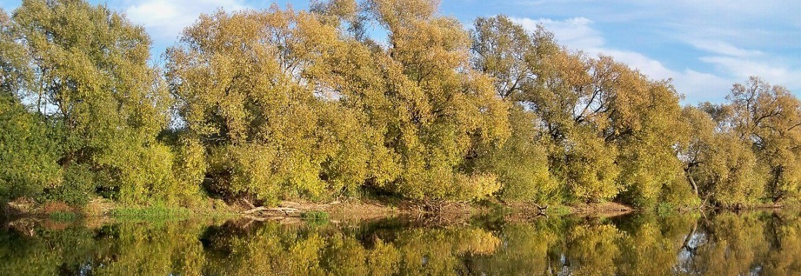 Parque Nacional do Baixo Dniester
