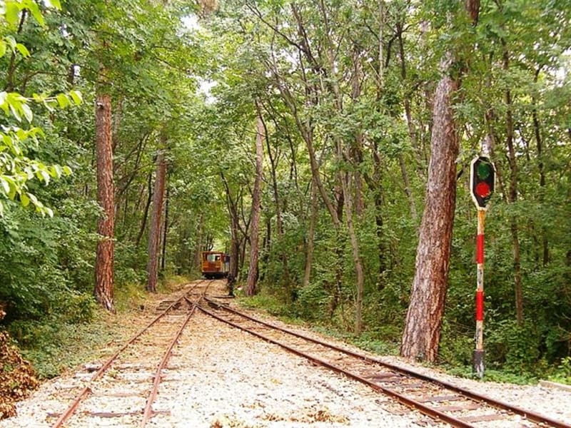 Ferrocarril forestal en Pécs