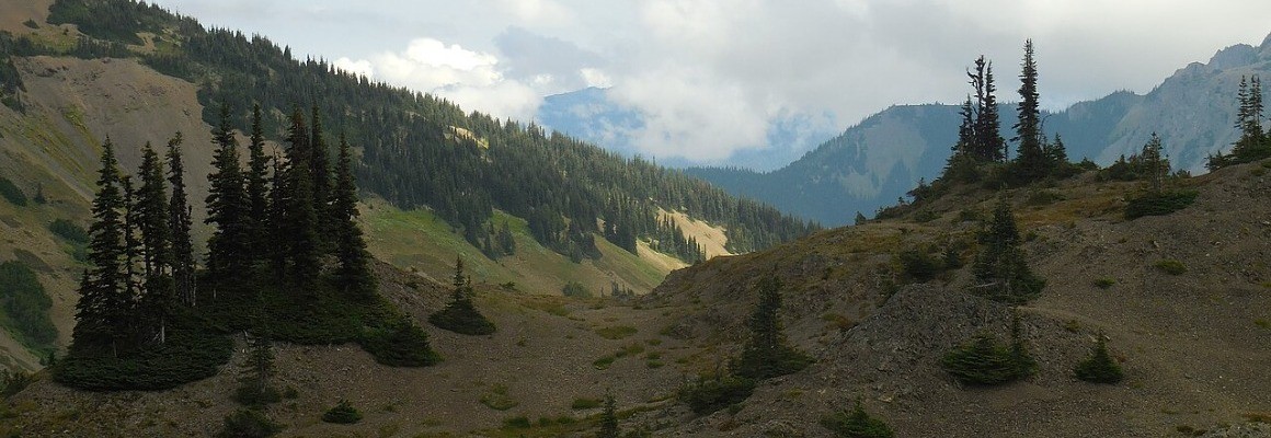 Parc national Olympique
