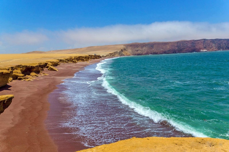 Réserve nationale de Paracas