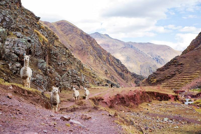 Montaña de Siete Colores de Vinicunca