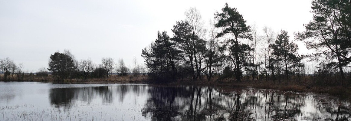 Parc national De Hoge Veluwe
